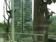 房屋价格便宜,出入方便,楼下公交车,菜市场,.