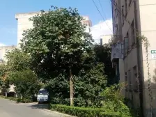 一梯三户,主卧朝南,大两房,环境优美