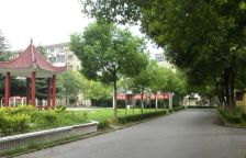 主卧朝南,小户型,交通便利,环境优美