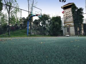 杜鹃城千万间 5室2厅 东南