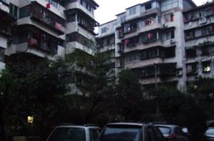 双顺路60号2室1厅东南