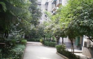 双顺路60号2室2厅东南