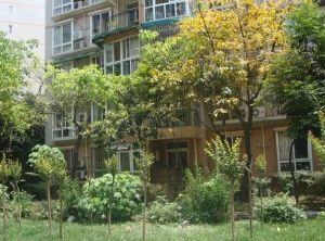 天邑花园 3室2厅 南 北