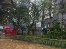 住家装修,楼层适中,采光充足,看江 视野也很好.