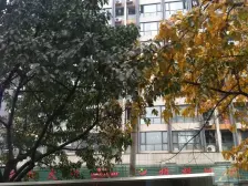 大石坝 元佳广场一房65万