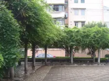 齐八小区 1室1厅 南