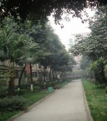 交大东园 5室2厅 东南 南