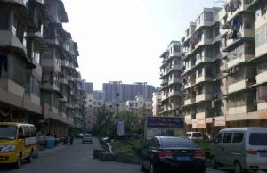 河滨丽苑2室1厅南