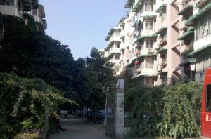 河滨丽苑3室2厅南