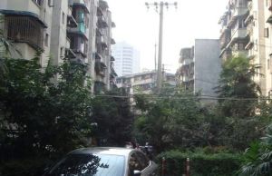 金沙路73号3室2厅东南