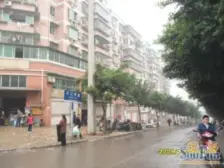 鱼洞 大江广场小区二房60万