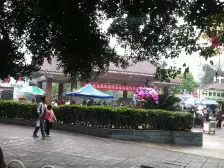 花卉园 花卉园西路三房