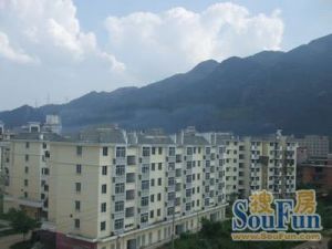 马保5号小区3室1厅南