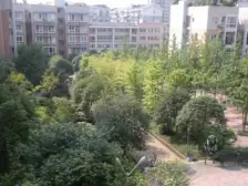 城北朝阳嘉苑,出行方便,业主卖,价格美丽