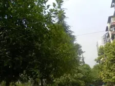 绿化示范小区,中等装修两房诚心出售