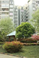 建信奥林匹克花园5室1厅西南