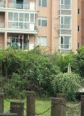 建信奥林匹克花园 5室1厅 南 北