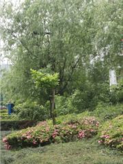 建信奥林匹克花园4室2厅南