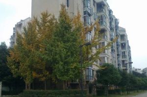 建信奥林匹克花园3室2厅东北