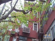 南京西路全名西边套两房,大区聚焦