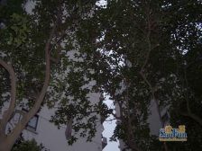 近地铁,中间楼层,电梯房,无抵押新上房源