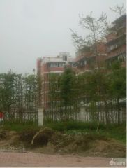 花径园3室1厅南北