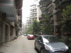 化成街10号3室1厅东南