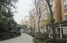 金阳丽景 2室2厅 东南