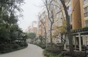 金阳丽景2室1厅西南