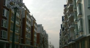 金阳丽景3室2厅东南