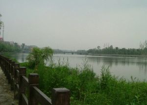 金阳丽景2室2厅东西