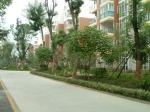 金阳丽景 3室1厅 东南