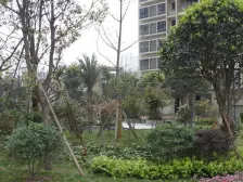 经开区 芸峰天梭派三房90万