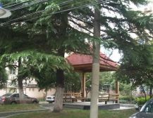 王家宅小区 3室1厅 东 西