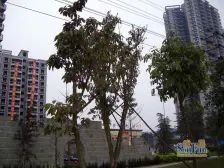 东部新城 玉水湾一房36.36万