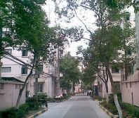 塘桥地铁站,电梯两房一厅,窗外景色好,近滨江