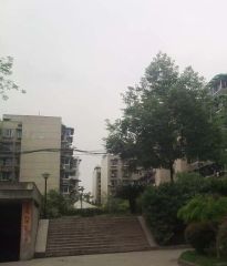 安顺苑5室3厅东北