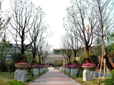 象屿郦庭 3室2厅 南 北