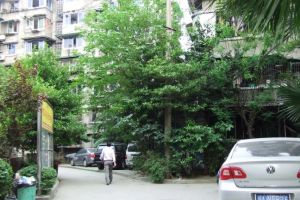 交桂一巷11号3室1厅东南