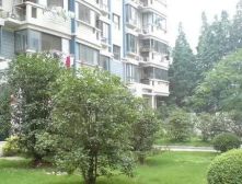 北蔡·由由新邸·2室·0厅北蔡·由由新邸·2室·0厅北蔡·由