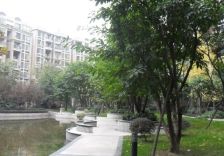 中海龙湾半岛 2室2厅 西