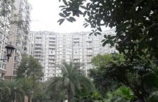 中海龙湾半岛 4室2厅 东