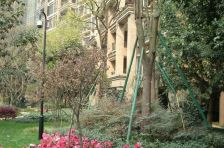 中海龙湾半岛 3室1厅 南