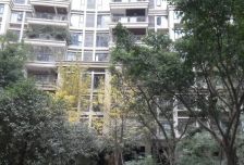 中海龙湾半岛 5室2厅 南 北