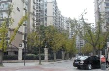 中海龙湾半岛 1室1厅 东