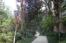 中海龙湾半岛 3室1厅 东南