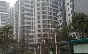 金林俊景3室1厅西