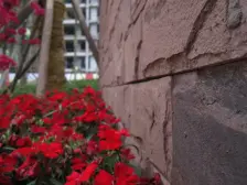 巴国城 公园旁 精装大三房 大阳台 住家安静 诚心出售