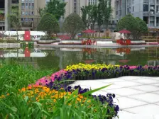 朵力品道 2室2厅 北