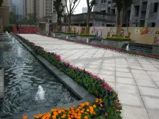 八桥 朵力品道三房147.5万